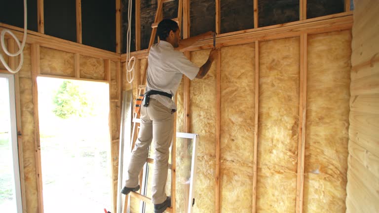 Best Pipe and Duct Insulation  in Rancho Alegre, TX