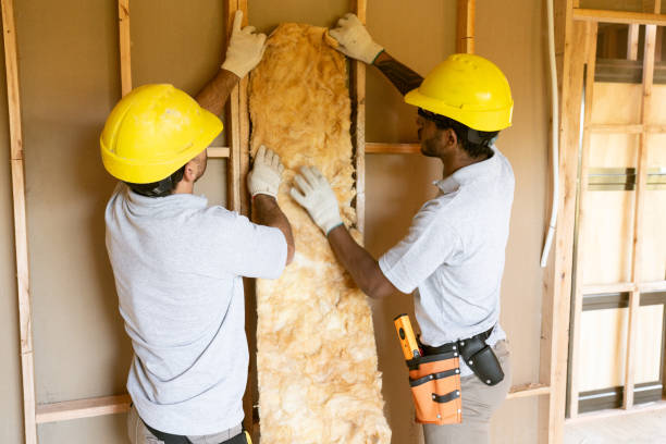 Best Spray Foam Insulation  in Rancho Alegre, TX