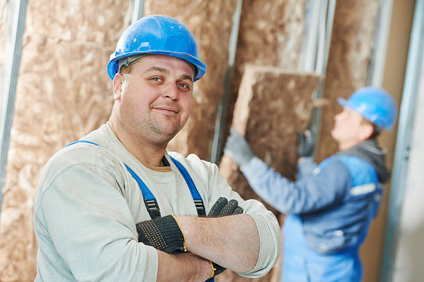 Best Batt and Roll Insulation  in Rancho Alegre, TX